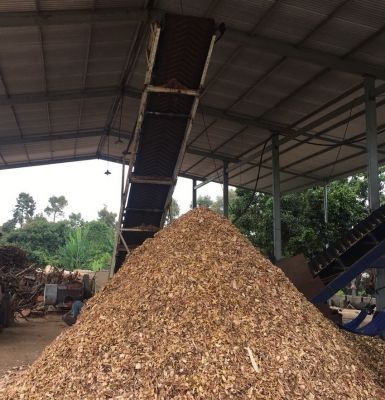 CỦI BĂM